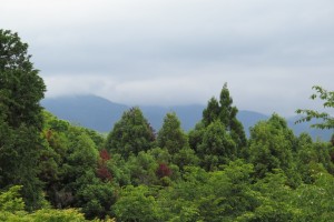 Asia Trip - Nara i Arashiyama