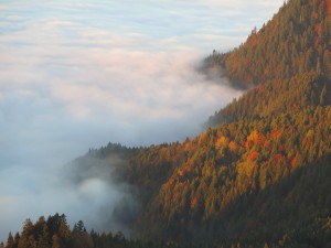 Pienińskie mgły jesienią