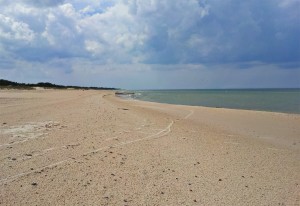 Plaża między Łebą a Czołpinem