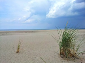 Plaża między Łebą a Czołpinem