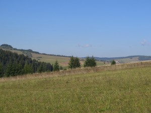 Łąki na szlaku Mochnaczka Niżna - Dzielec