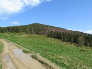 Przełęcz Kucałowa - widok na Okrąglicę