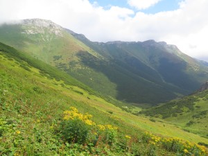Widok z podejścia na Wyżnią Przełęcz Kopską na fragment wschodniej grani Tatr Bielskich: Szalony Wierch i grzbiet Jatek
