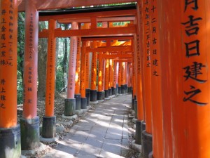 Torii - Świątynia Fushimi Inari