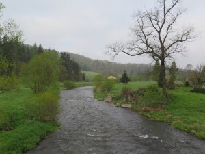 Rzeka Bóbr w Trzcińsku