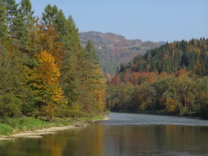 Dunajec jesienią