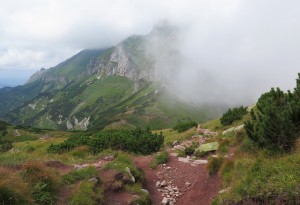 Widok w kierunku Szerokiej Przełęczy Bielskiej