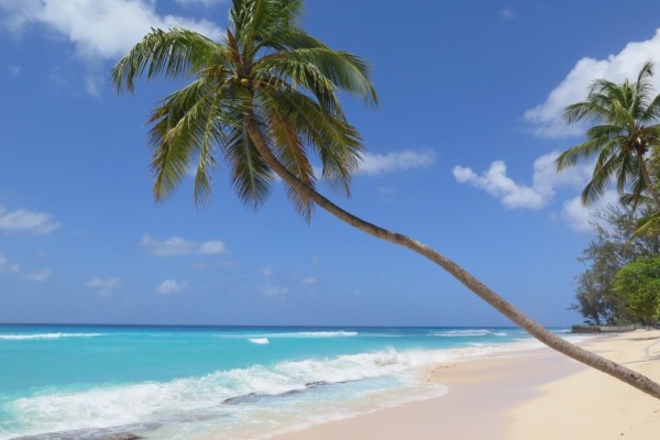 Worthing beach - Barbados