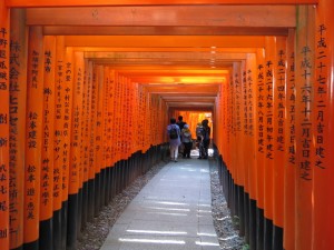 Torii w świątyni Fushimi Inari - Kyoto