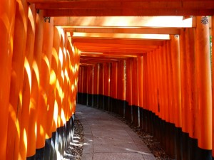 Torii w świątyni Fushimi Inari - Kyoto
